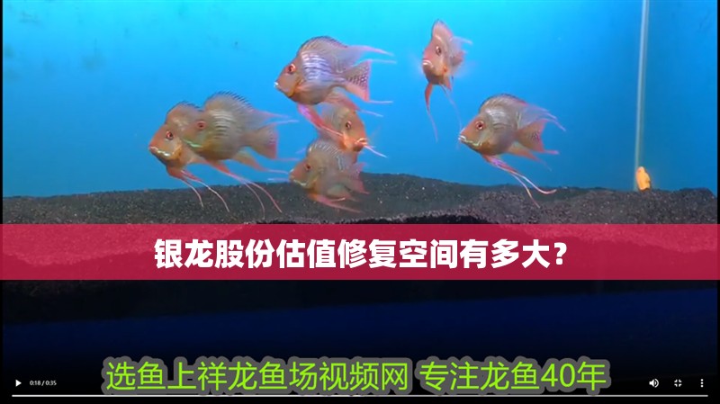 銀龍股份估值修復空間有多大？