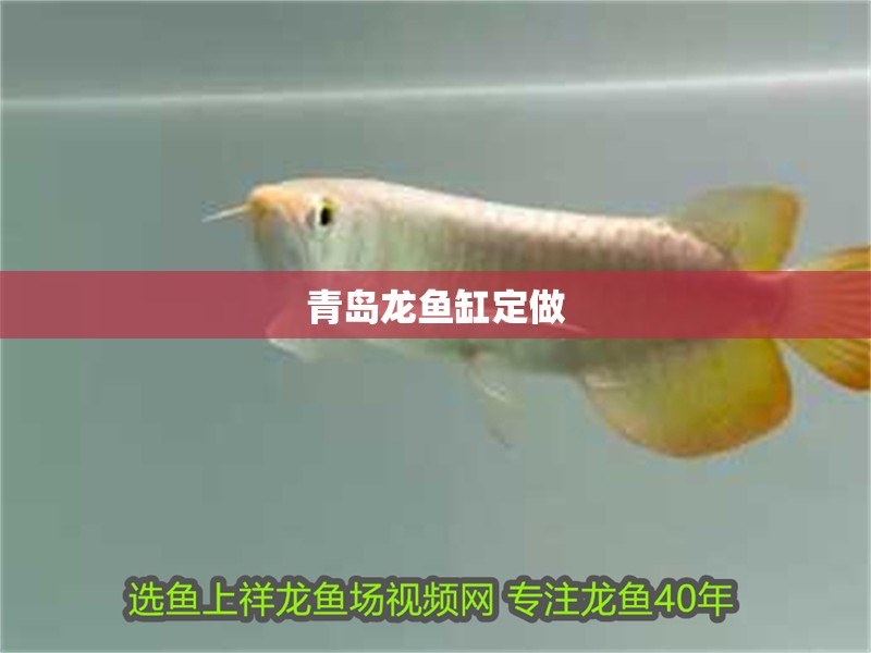 青島龍魚缸定做