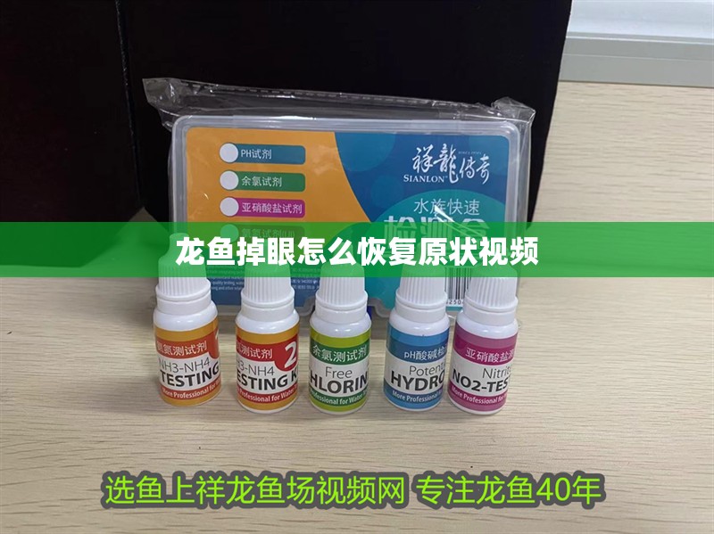 龍魚掉眼怎么恢復原狀視頻