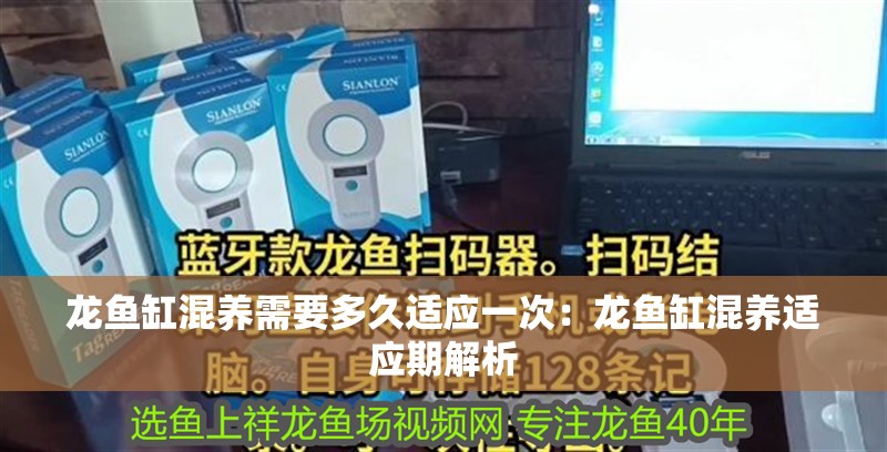 龍魚缸混養需要多久適應一次：龍魚缸混養適應期解析