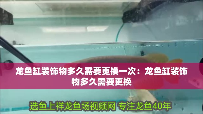龍魚缸裝飾物多久需要更換一次：龍魚缸裝飾物多久需要更換