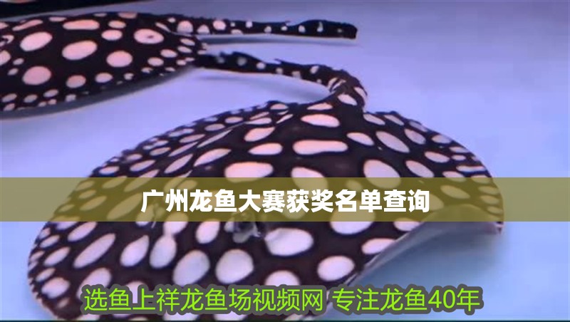 廣州龍魚大賽獲獎名單查詢