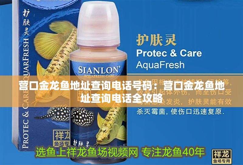 營口金龍魚地址查詢電話號(hào)碼：營口金龍魚地址查詢電話全攻略