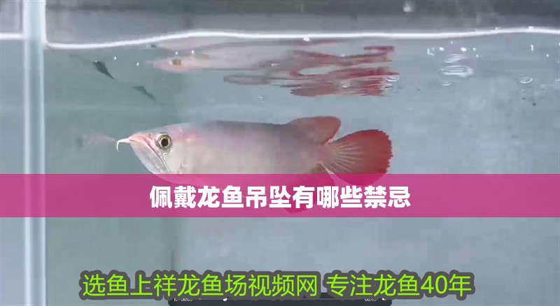 佩戴龍魚(yú)吊墜有哪些禁忌