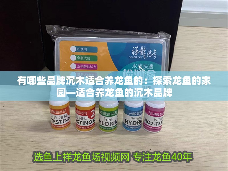 有哪些品牌沉木適合養龍魚的：探索龍魚的家園—適合養龍魚的沉木品牌