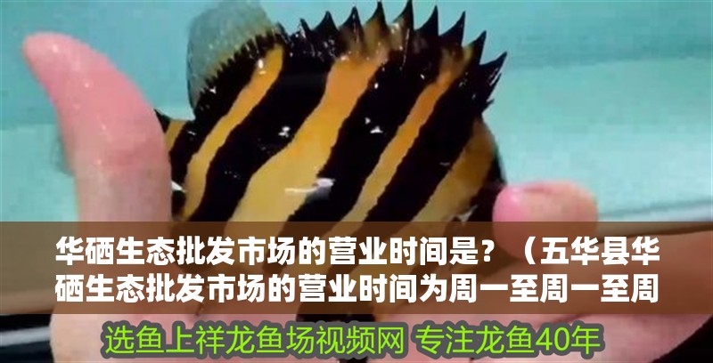 華硒生態(tài)批發(fā)市場(chǎng)的營(yíng)業(yè)時(shí)間是？（五華縣華硒生態(tài)批發(fā)市場(chǎng)的營(yíng)業(yè)時(shí)間為周一至周一至周日）