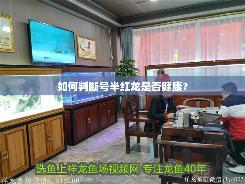 如何判斷號半紅龍是否健康？