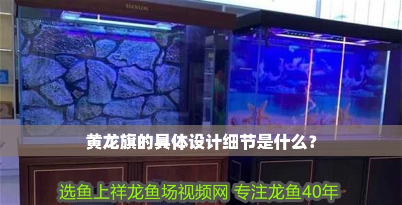 黃龍旗的具體設計細節是什么？