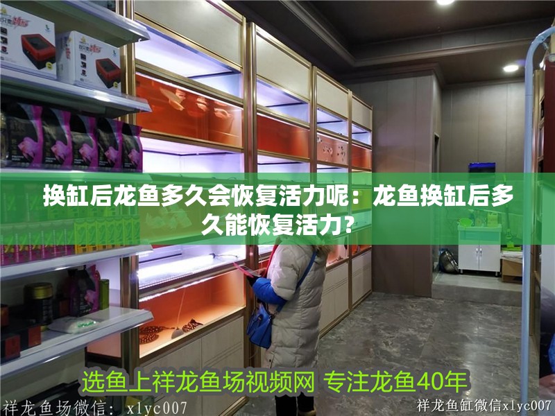 換缸后龍魚(yú)多久會(huì)恢復(fù)活力呢：龍魚(yú)換缸后多久能恢復(fù)活力？
