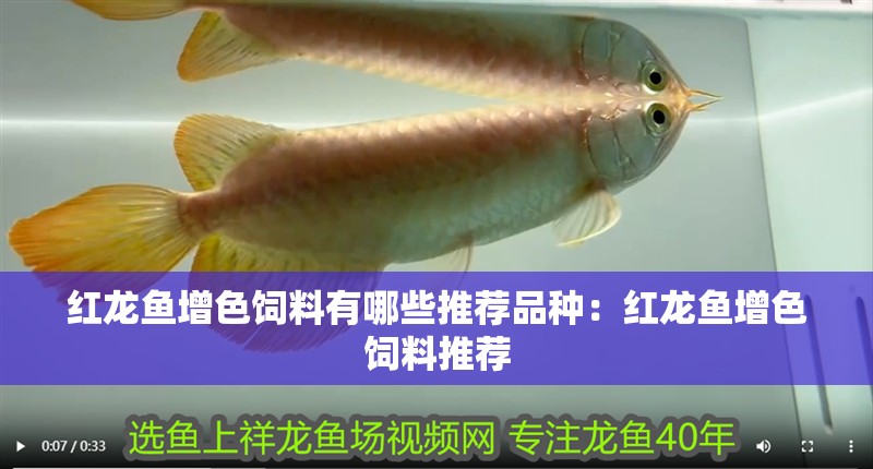 紅龍魚增色飼料有哪些推薦品種：紅龍魚增色飼料推薦
