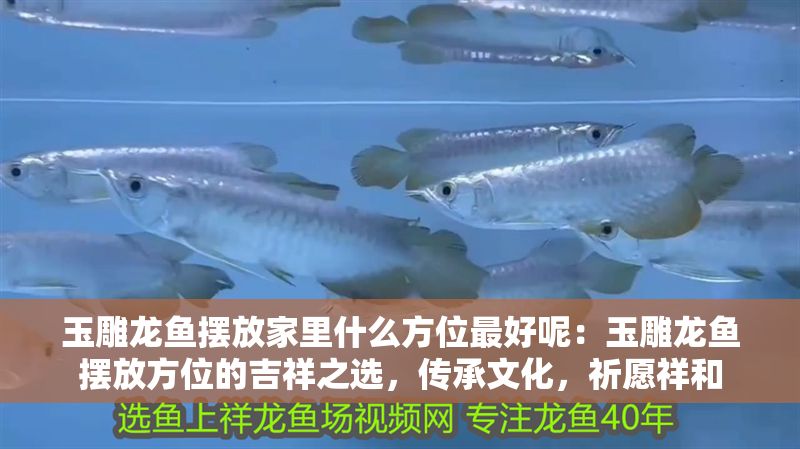 玉雕龍魚擺放家里什么方位最好呢：玉雕龍魚擺放方位的吉祥之選，傳承文化，祈愿祥和