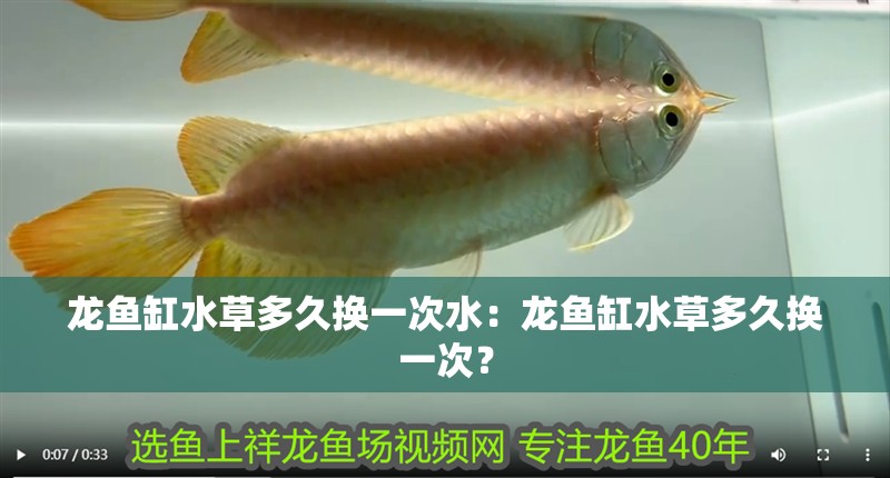 龍魚缸水草多久換一次水：龍魚缸水草多久換一次？