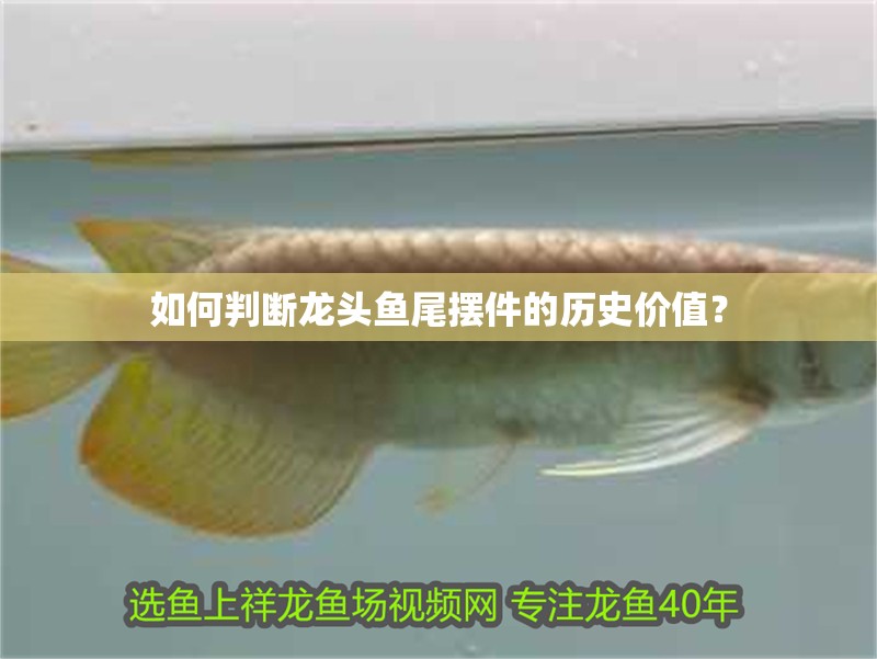 如何判斷龍頭魚尾擺件的歷史價值？