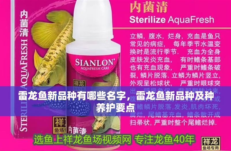 雷龍魚新品種有哪些名字，雷龍魚新品種及種養護要點