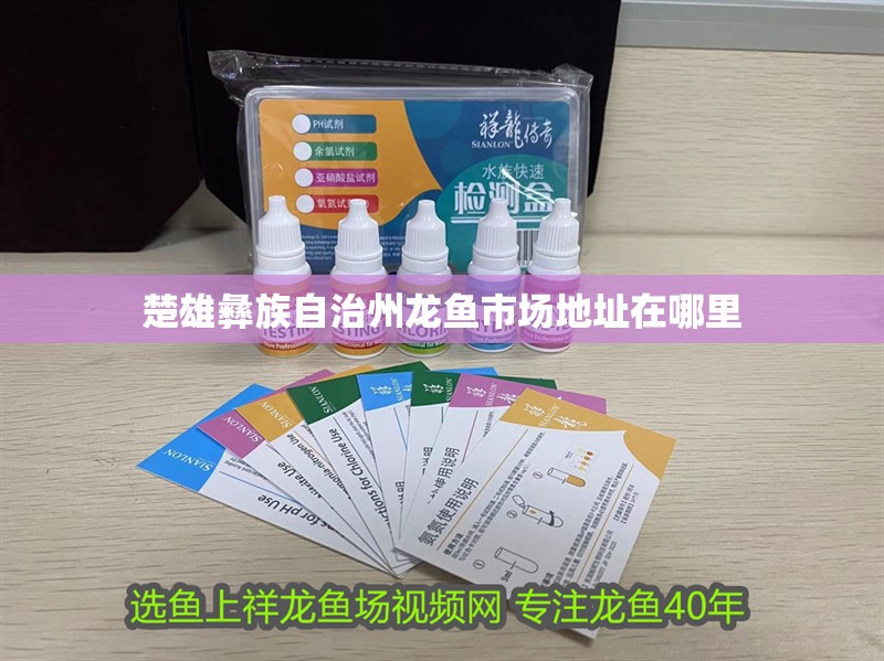 楚雄彝族自治州龍魚市場地址在哪里