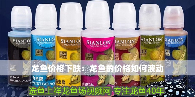 龍魚價格下跌：龍魚的價格如何波動