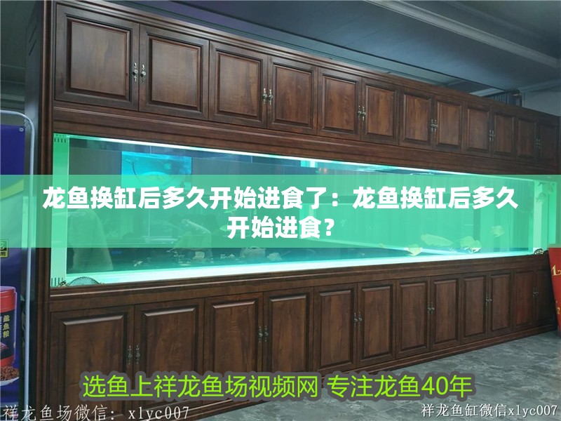 龍魚(yú)換缸后多久開(kāi)始進(jìn)食了：龍魚(yú)換缸后多久開(kāi)始進(jìn)食？