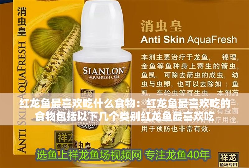 紅龍魚最喜歡吃什么食物：紅龍魚最喜歡吃的食物包括以下幾個類別紅龍魚最喜歡吃