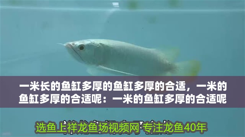一米長的魚缸多厚的魚缸多厚的合適，一米的魚缸多厚的合適呢：一米的魚缸多厚的合適呢