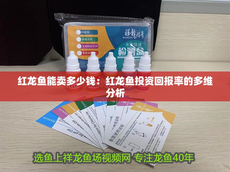 紅龍魚能賣多少錢：紅龍魚投資回報率的多維分析