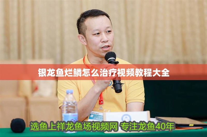 銀龍魚爛鱗怎么治療視頻教程大全