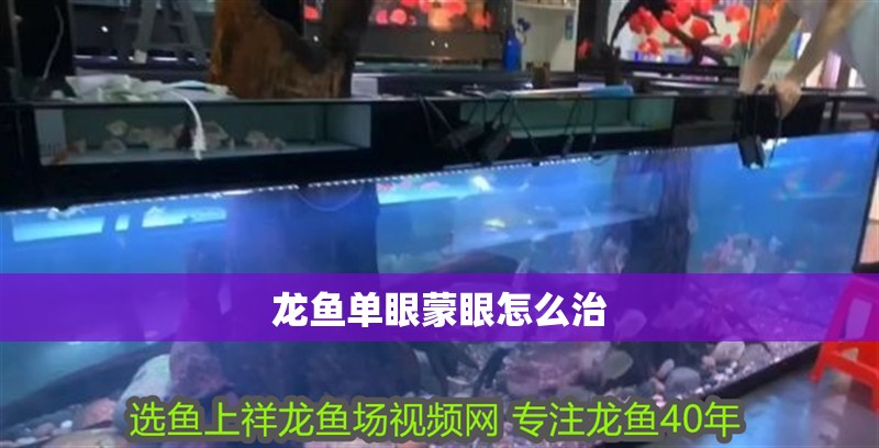 龍魚單眼蒙眼怎么治