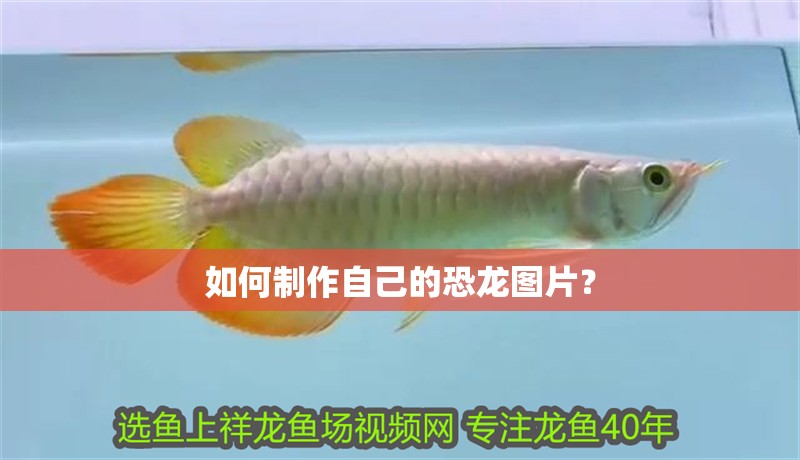 可麗愛(ài)魚(yú)缸型號(hào)系列介紹圖片（可麗愛(ài)魚(yú)缸與其他品牌的比較）