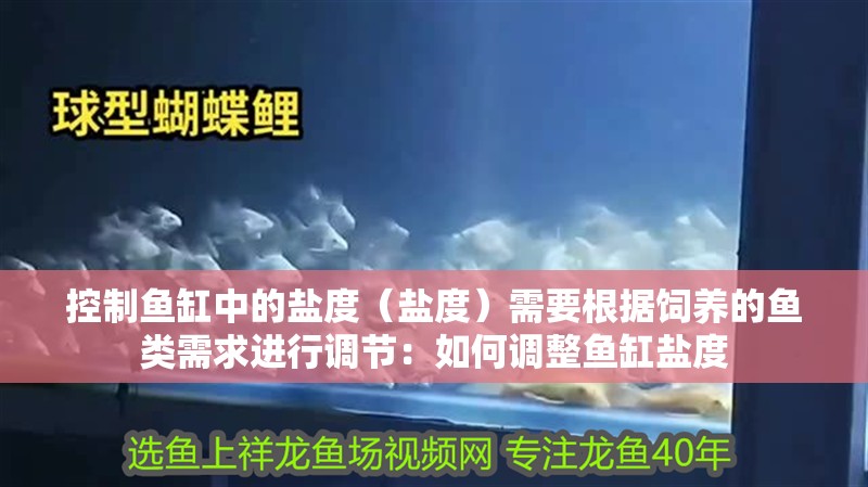 控制魚缸中的鹽度（鹽度）需要根據(jù)飼養(yǎng)的魚類需求進(jìn)行調(diào)節(jié)：如何調(diào)整魚缸鹽度