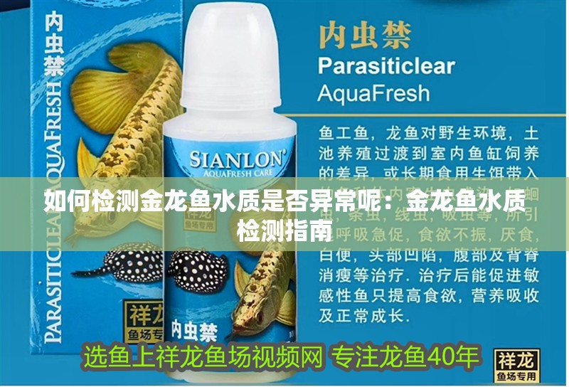 如何檢測金龍魚水質(zhì)是否異常呢：金龍魚水質(zhì)檢測指南