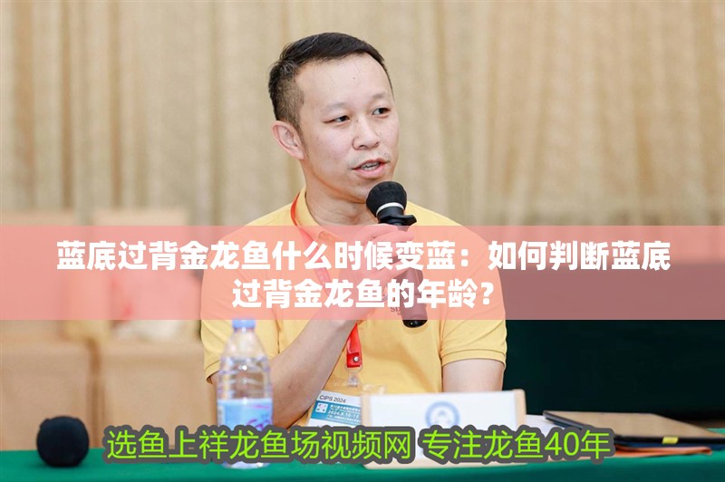 藍底過背金龍魚什么時候變藍：如何判斷藍底過背金龍魚的年齡？
