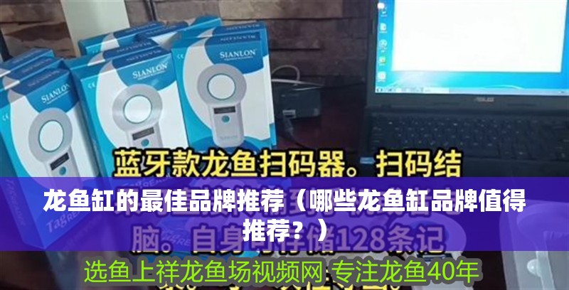 龍魚缸的最佳品牌推薦（哪些龍魚缸品牌值得推薦？）