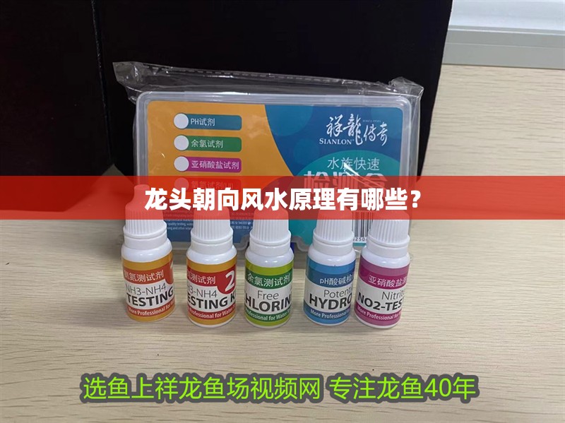 龍頭朝向風水原理有哪些？