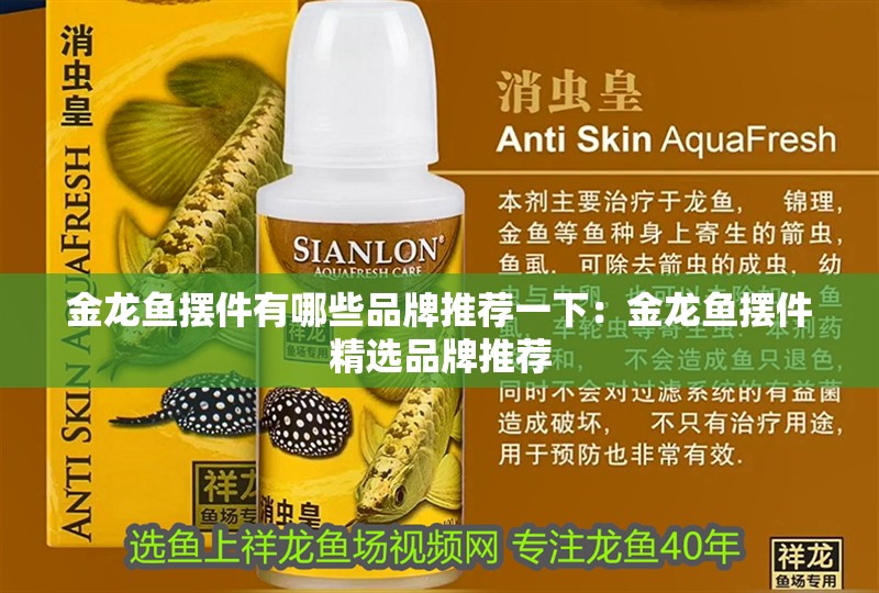 金龍魚擺件有哪些品牌推薦一下：金龍魚擺件精選品牌推薦