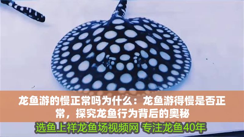 龍魚游的慢正常嗎為什么：龍魚游得慢是否正常，探究龍魚行為背后的奧秘
