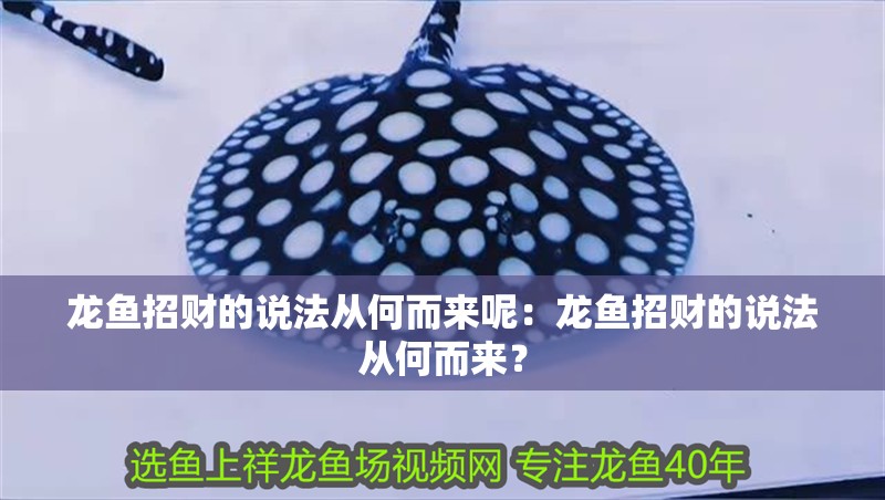 龍魚招財的說法從何而來呢：龍魚招財的說法從何而來？