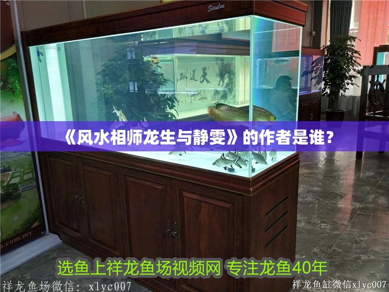 《風水相師龍生與靜雯》的作者是誰？