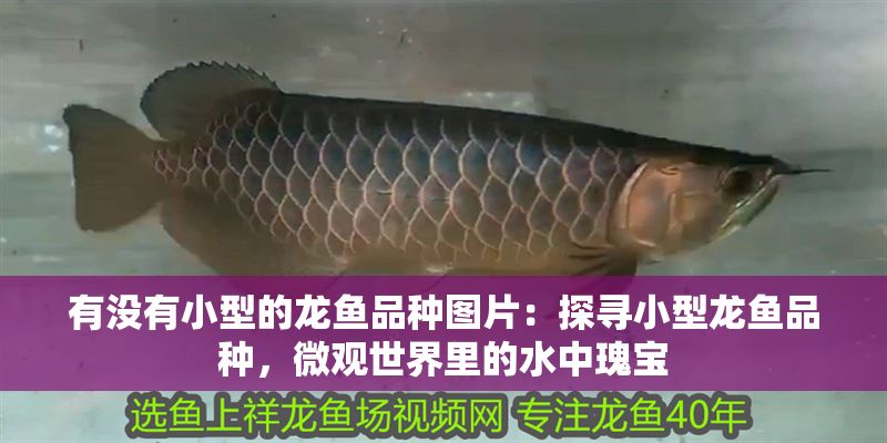 記錄一下，入缸279天