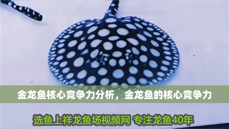 金龍魚核心競爭力分析，金龍魚的核心競爭力