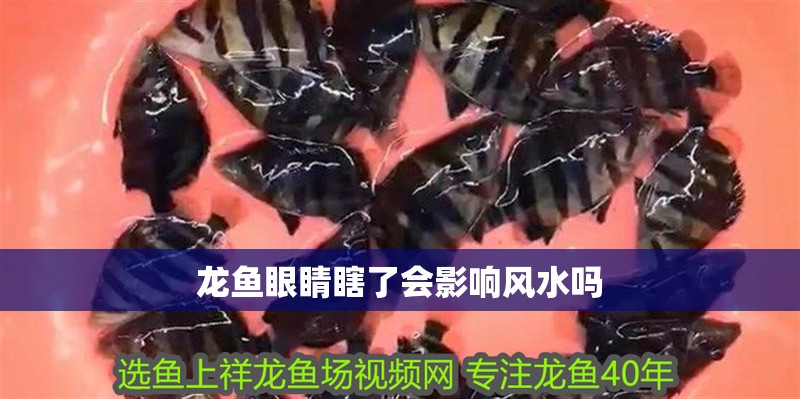 龍魚眼睛瞎了會影響風水嗎
