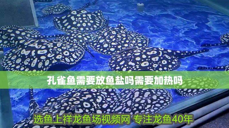 孔雀魚需要放魚鹽嗎需要加熱嗎