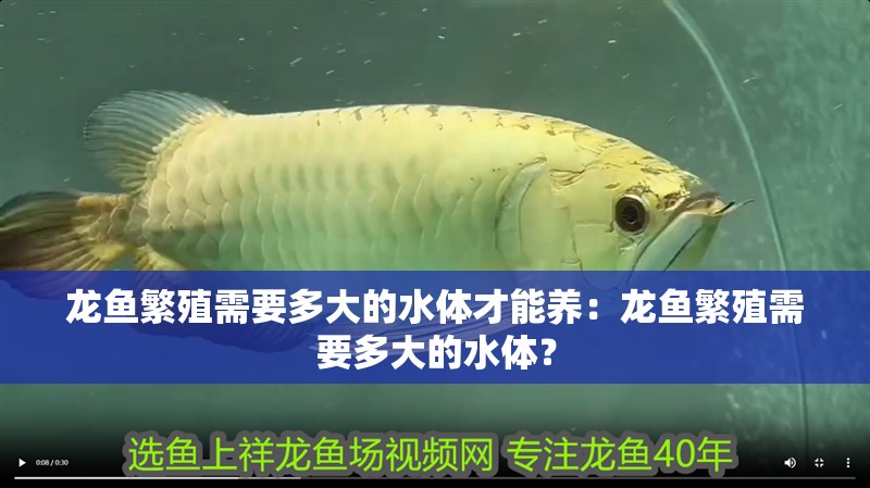 龍魚繁殖需要多大的水體才能養：龍魚繁殖需要多大的水體？