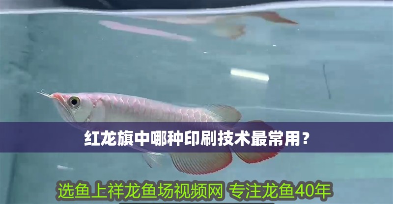 紅龍旗中哪種印刷技術(shù)最常用？