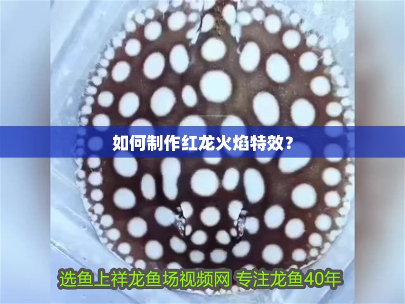 如何制作紅龍火焰特效？