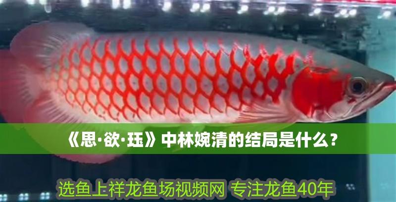 《思·欲·玨》中林婉清的結局是什么？