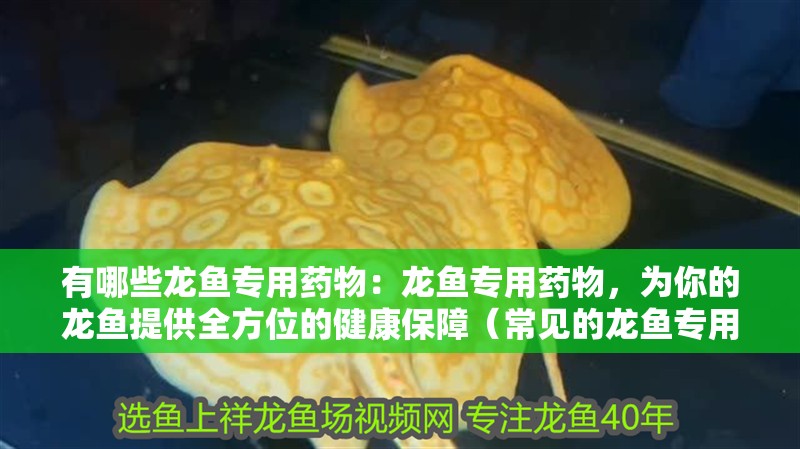 有哪些龍魚專用藥物：龍魚專用藥物，為你的龍魚提供全方位的健康保障（常見的龍魚專用藥物）