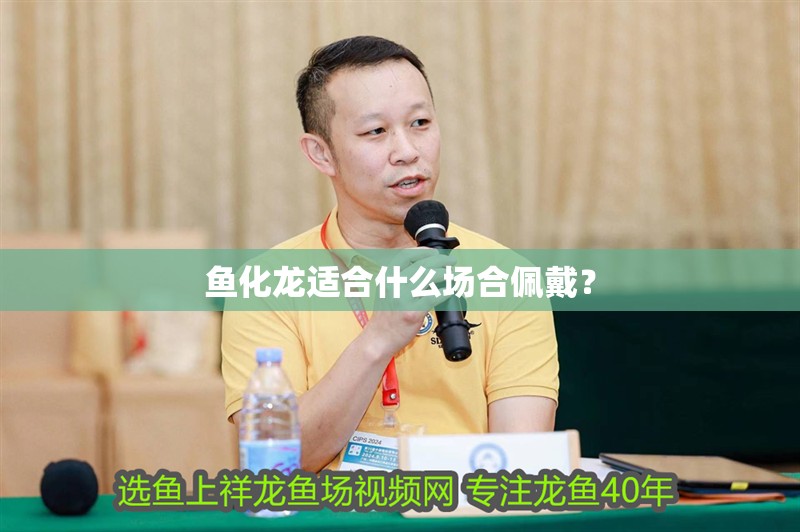 魚化龍適合什么場合佩戴？