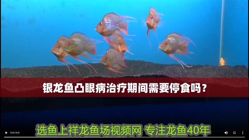 龍魚死了是沉底還是浮上來的