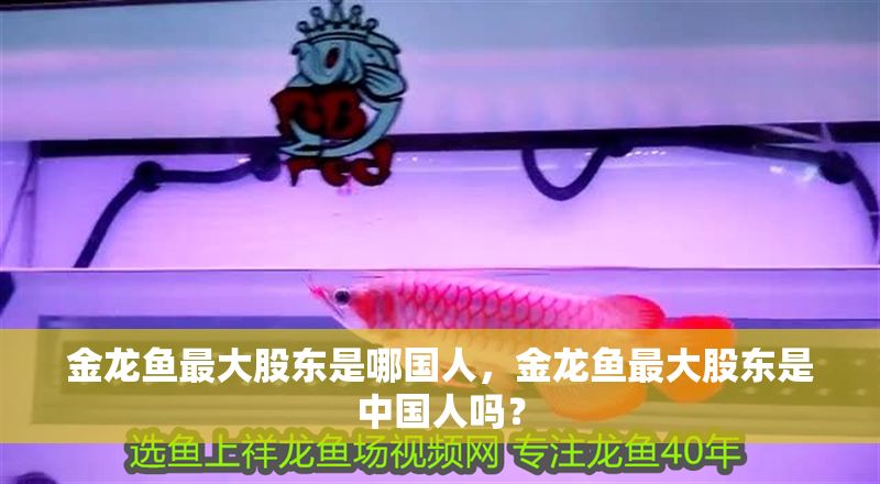 金龍魚最大股東是哪國人，金龍魚最大股東是中國人嗎？