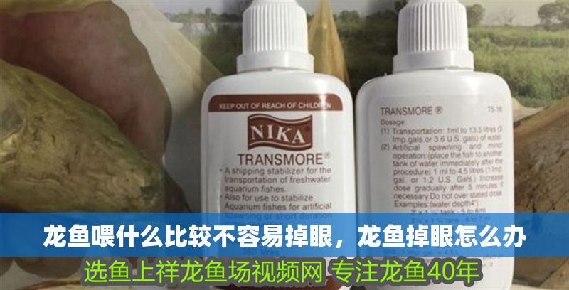 龍魚喂什么比較不容易掉眼，龍魚掉眼怎么辦 龍魚喂什么比較不容易掉眼，龍魚掉眼怎么辦 龍魚百科 第2張