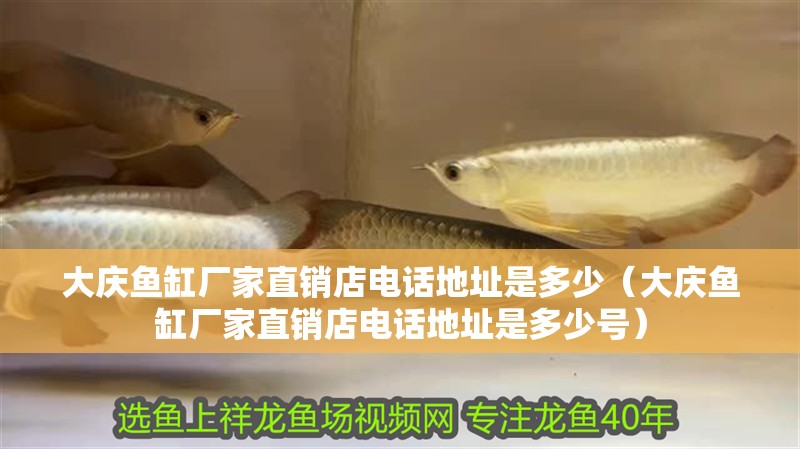 大慶魚缸廠家直銷店電話地址是多少（大慶魚缸廠家直銷店電話地址是多少號）